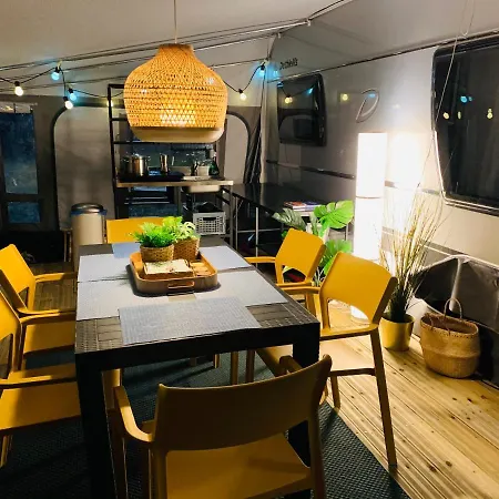 Przyczepa Foremka W Molo Surf